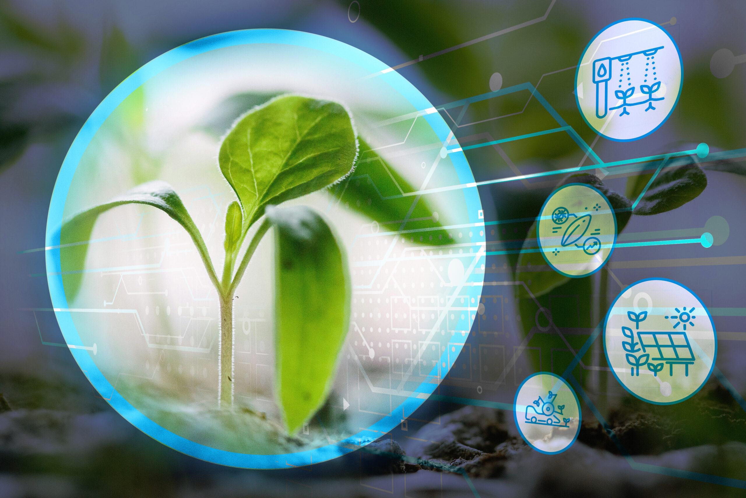 Transformación Digital en el Sector Agrario: Soluciones Innovadoras ...